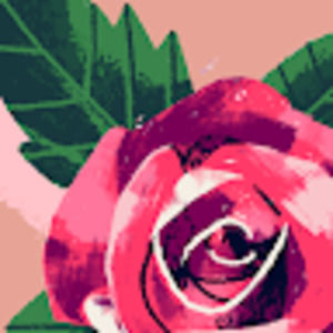 Meet your Posher, Talia